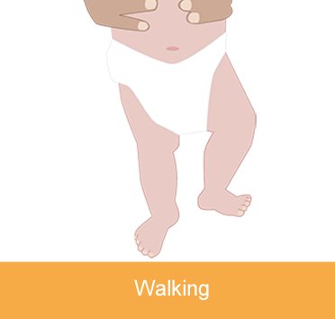 twelve months of age