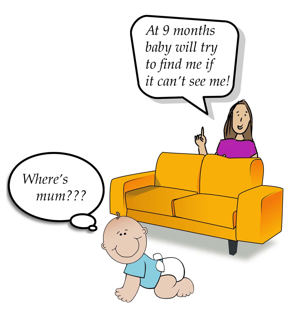 Cartoon of baby seeking out it's mother at 9 months of age