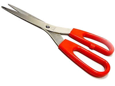 Scissors for crafts