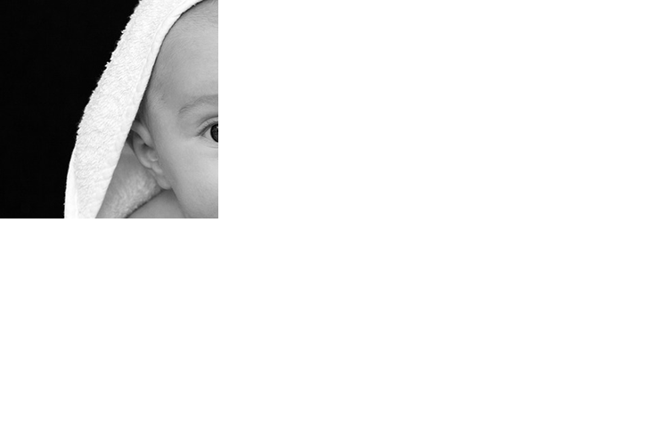 Part of baby bulb image