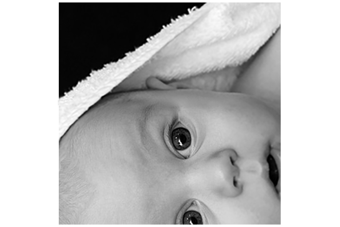 Part of baby bulb image