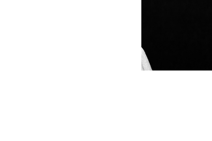 Part of baby bulb image