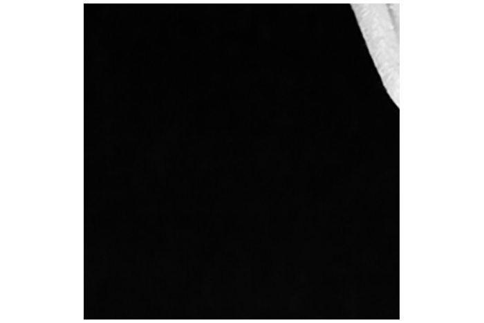 Part of baby bulb image