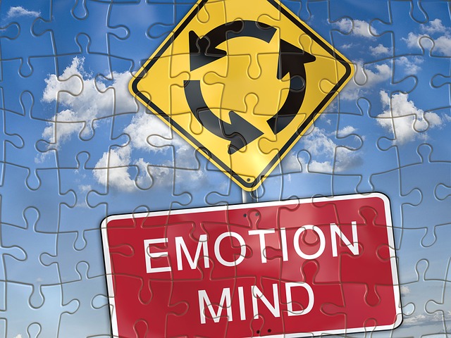 A photograph of a road sign saying 'Emotion Mind'.