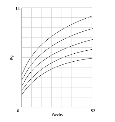 Chart showing weight increase during the first year of life