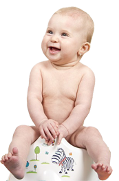 Small child sitting on a potty