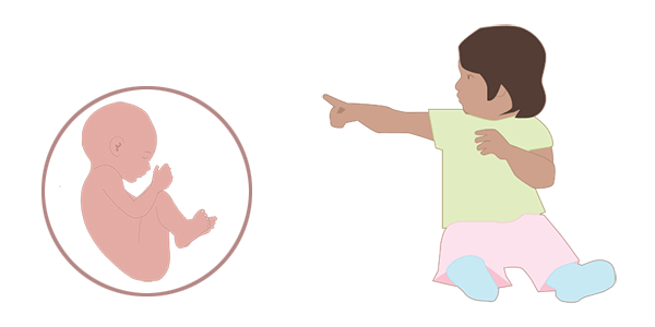 An image of a baby in the womb and a 2 year old