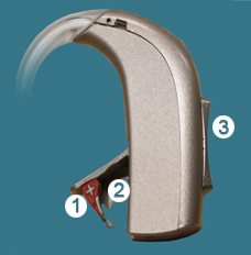 Custom mould activity 1 graphic