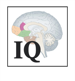 IQ