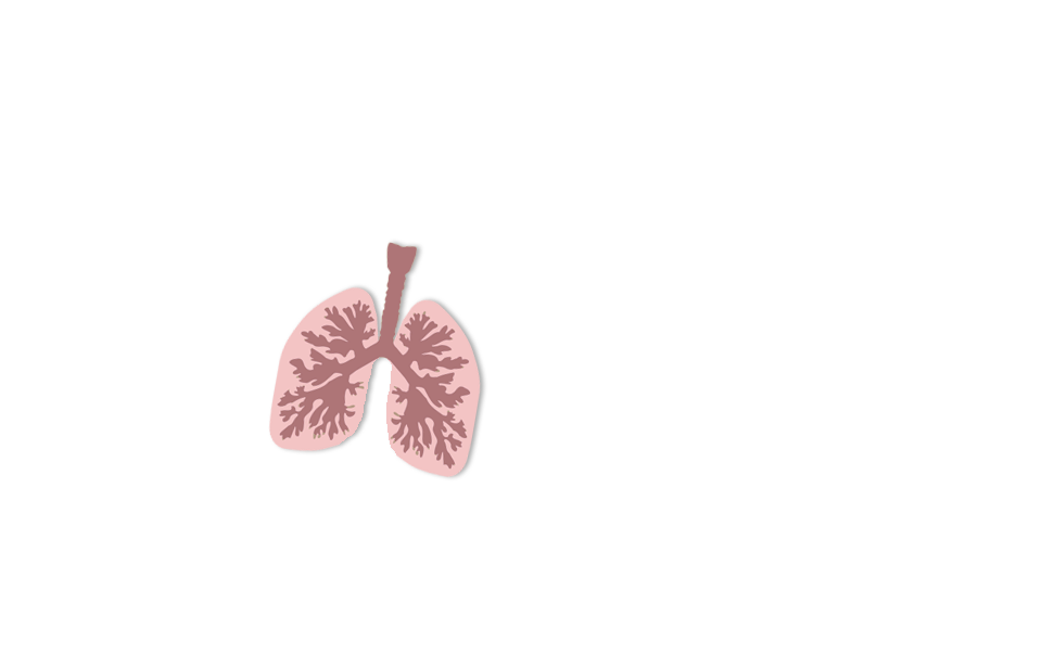 Picture of lungs