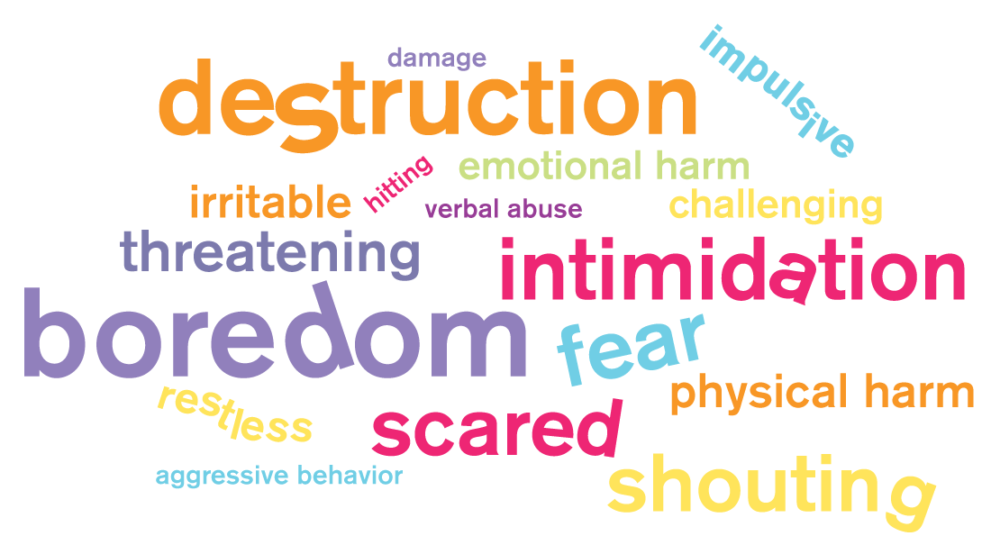 Word Cloud containing: physical harm, emotional harm, threatening, verbal abuse, destruction, damage, aggressive behavior, irritable, impulsive, restless, scared, fear, boredom, hitting, shouting, challenging, intimidation