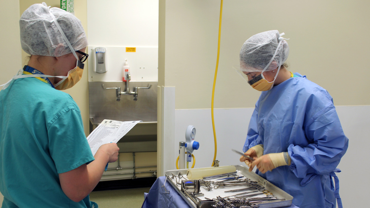 Two operating theatre practitioners counting and checking medical instruments before an operation gets underway.