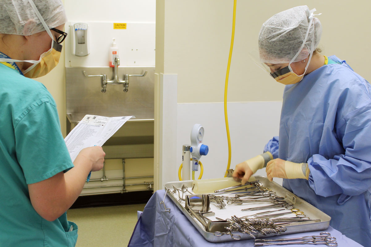 Two operating theatre practitioners counting and checking medical instruments before an operation gets underway.