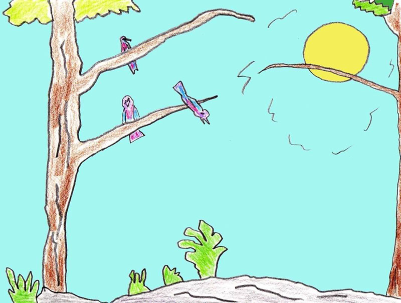 Picture of a jungle scene with birds