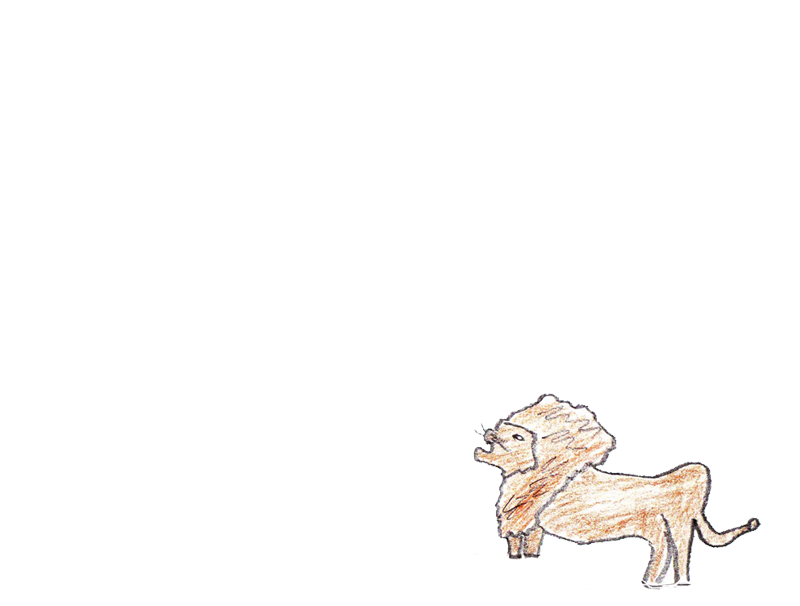 Picture of a lion