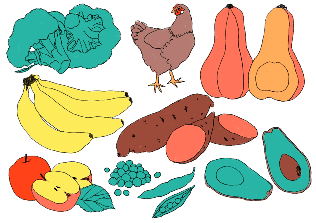 BabyGRO - examples of nutritional food.