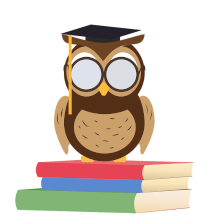 An illustraion of a Wise owl who will help guide learning.