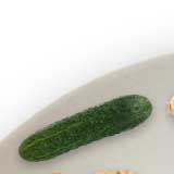 Cucumber