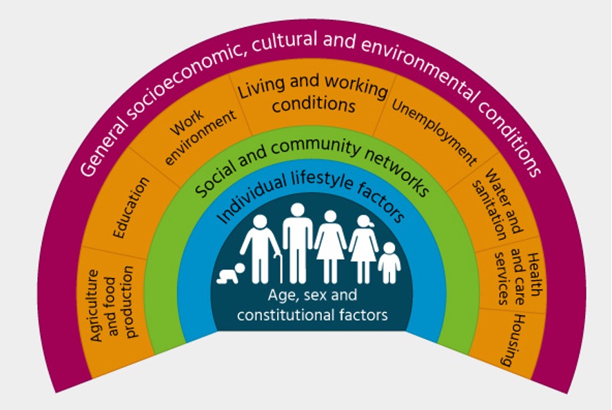 The Dahlgren and Whitehead model.
