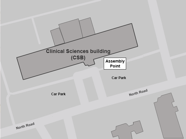 Assembly point for the CSB Building.