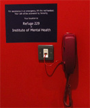 Emergency phone