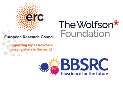 Hounsfield Funding was provided by the European Research Council, The Wolfson Foundation and BBSRC.