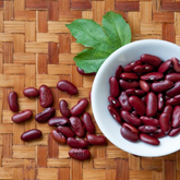 Image of a Bean Plant