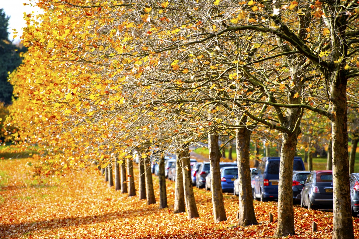 The redeployment recruitment process