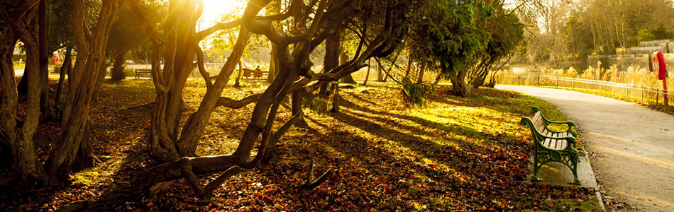 Leaving the University