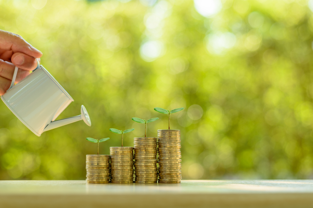 Watering can over seedlings with coins