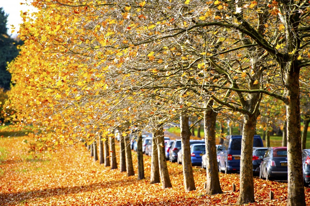 LMA change management