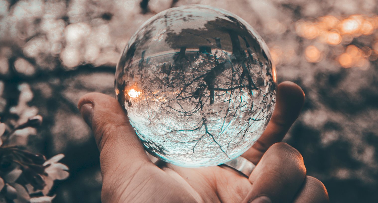Hand holding glass ball which reflects inverted image of bare trees in background