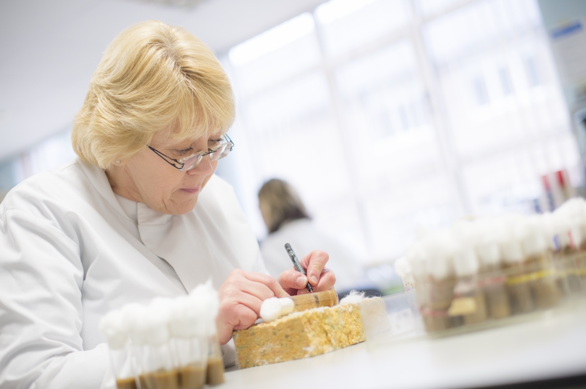 Jobs The University of Nottingham