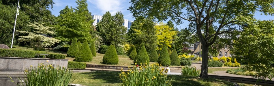 The School of Law is located in the green surroundings of our main University Park campus