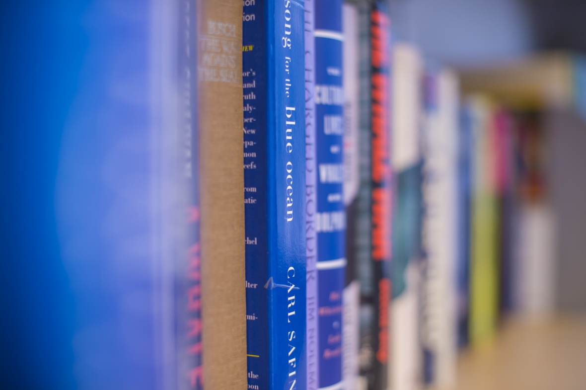 Shelf of books with blue hue