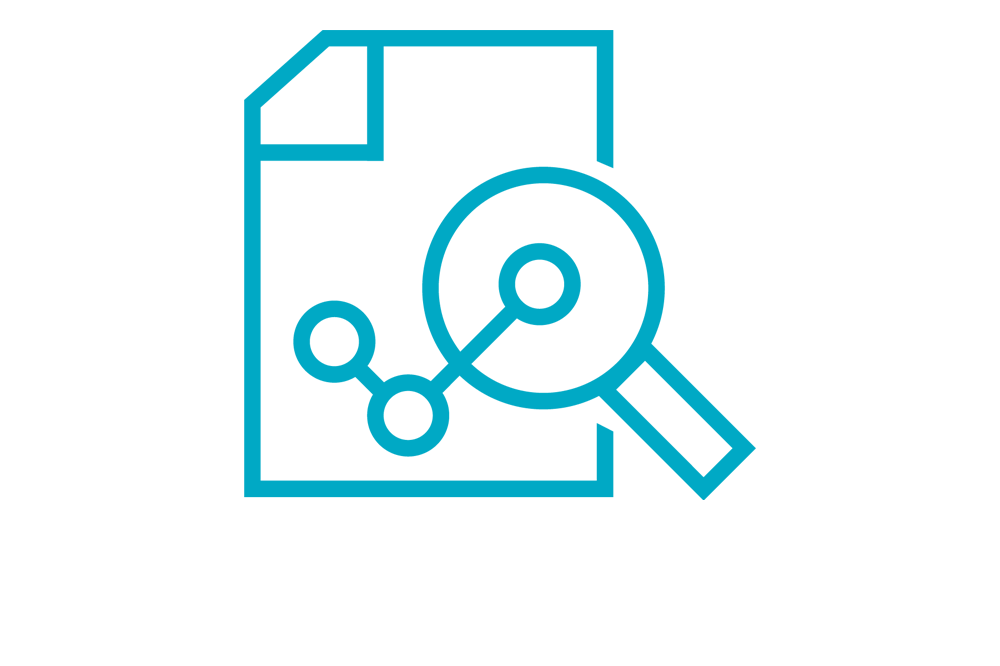 Magnifying glass and document icon