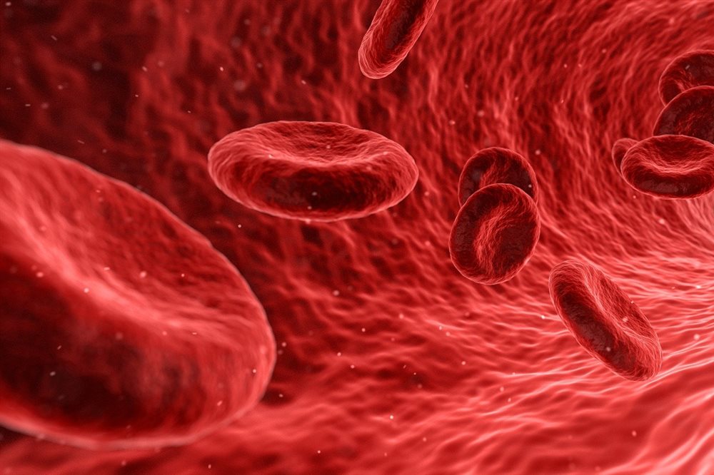 Illustrations blood cells red medical medicine