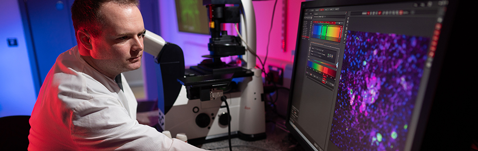 A researcher using imaging equipment to study cells