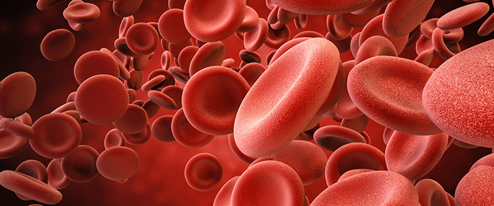 3D rendering of red blood cells in vein