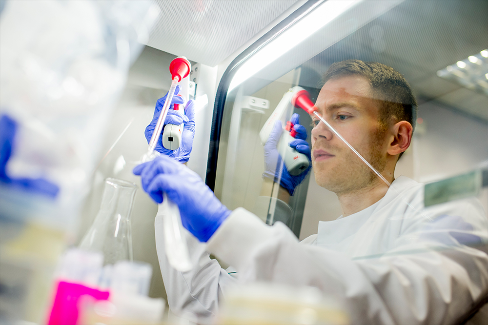 Professor Nigel Minton plate streaking on agar gel in petri dishes in an anaerobic cabinet