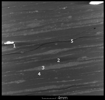 Carboniferous interbedded silt-laminated mudstone