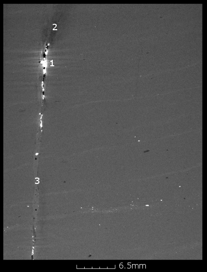 Jurassic Oxford clay