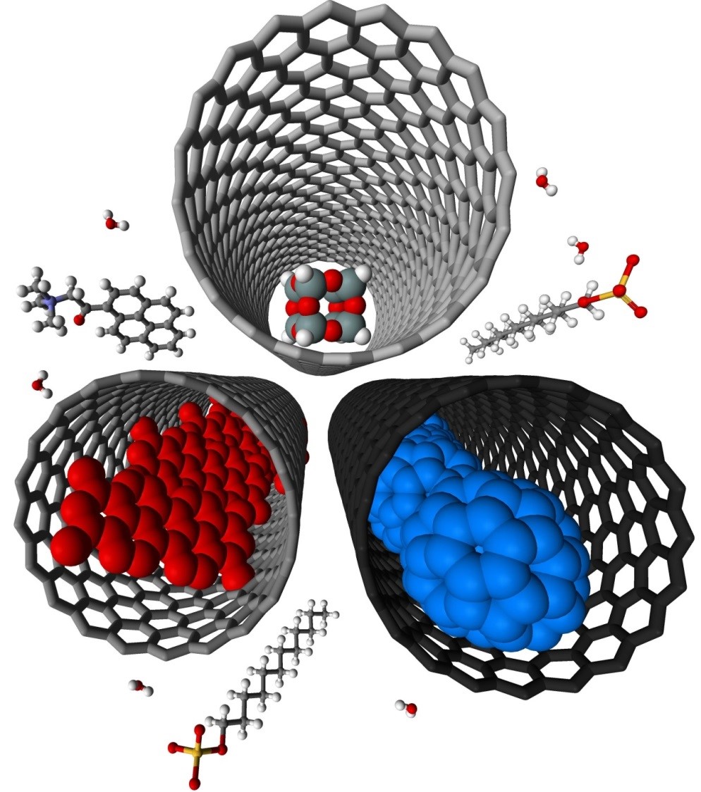 Molecules inside Nanotubes
