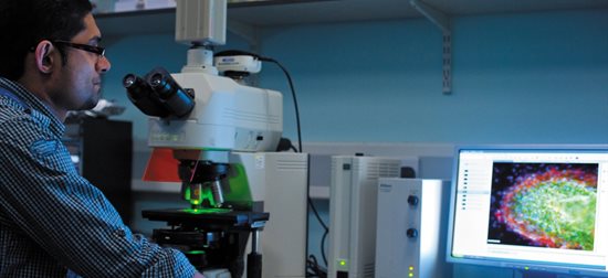 Fluorescence Microscopy