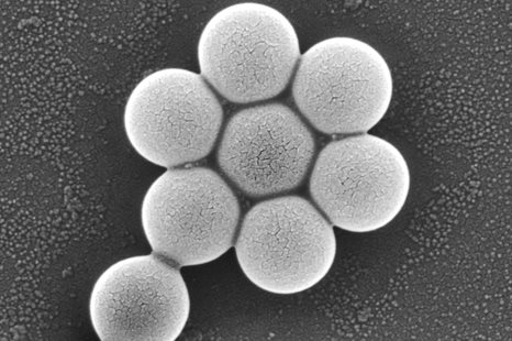 nmCS_Public Outreach