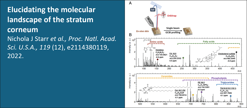 Stratum corneum paper