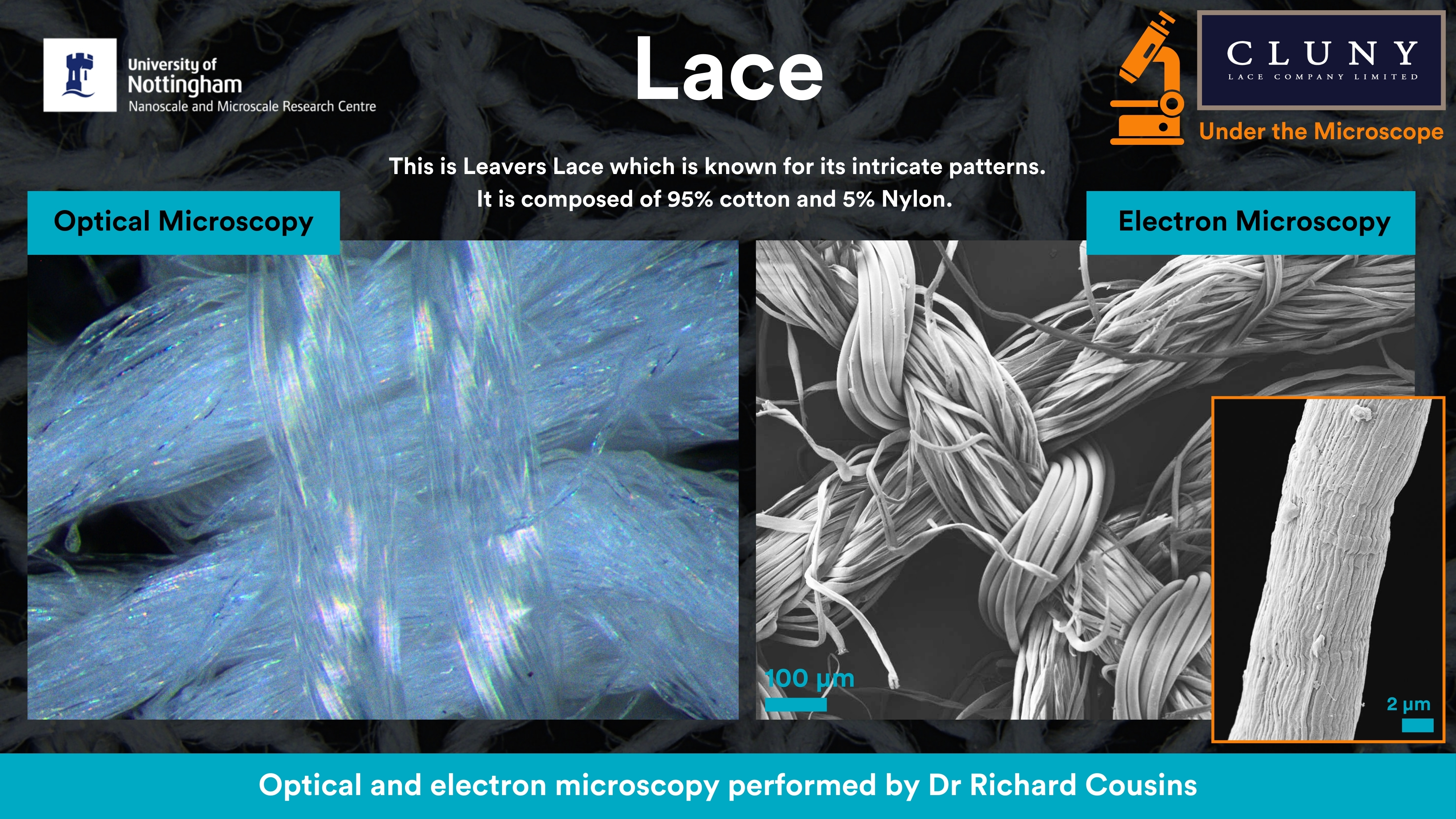 Cluny Lace