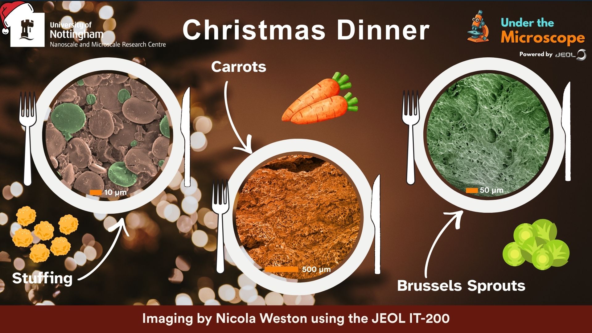 Under the Microscope_Dec 25