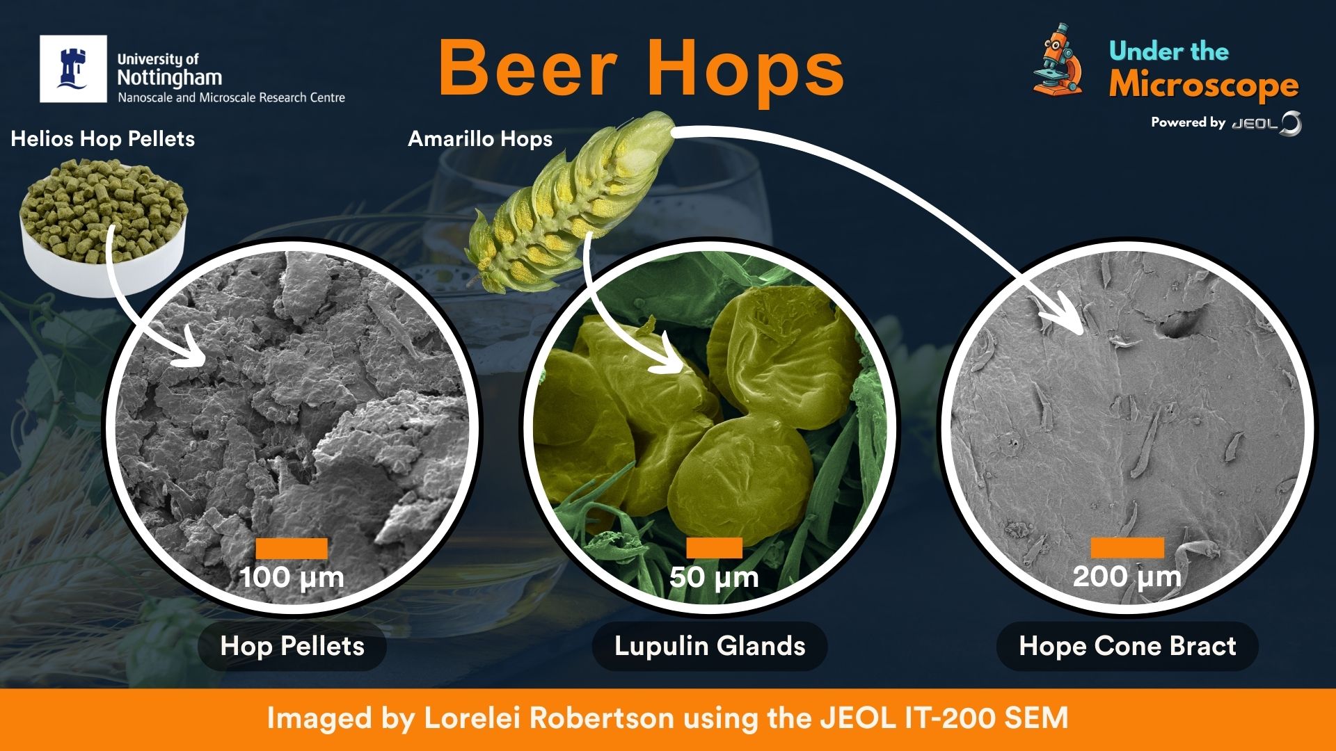 Under the Microscope_Feb 26