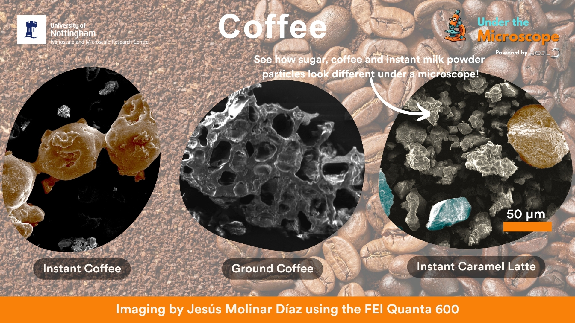 Under the Microscope Nov 25